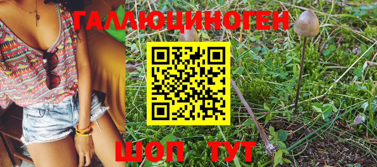 Стрежевой  Галлюциногенные грибы Cubensis  Галлюциногенные грибы GOLDEN TEACHER  Вход с VPN 