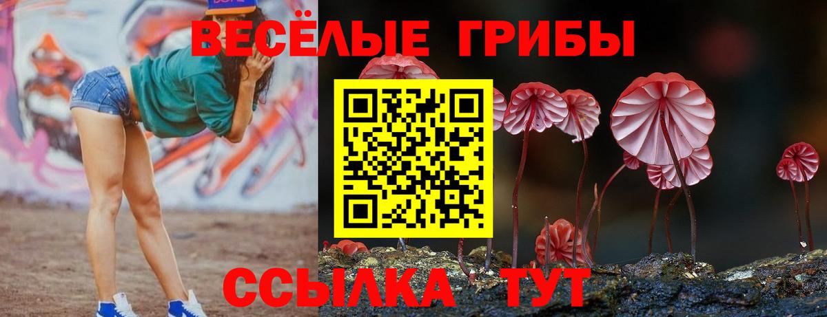 Галлюциногенные грибы мицелий Стрежевой